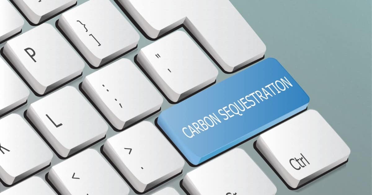 Carbon Sequestration as a key on a keyboard